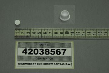 Obrázek Šroub boxu termostatu CAP/140(S.W.)