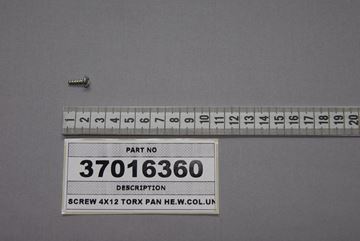 Obrázek SCREW 4X12 TORX PAN HE.W.COL.UND.HE.SER.